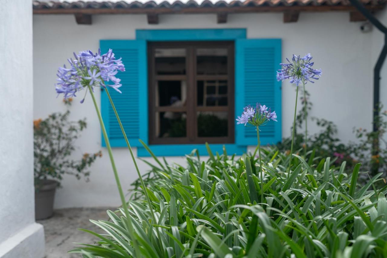Barbara'S Boutique Hostel Antigua ภายนอก รูปภาพ